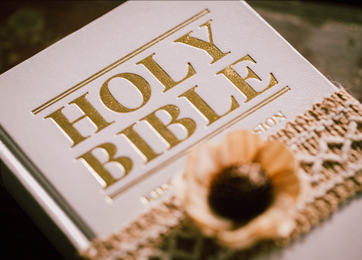 Bible_362x260_compressed